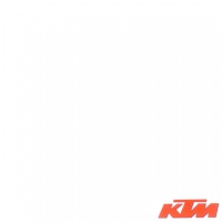 KTM Duke 250 2016